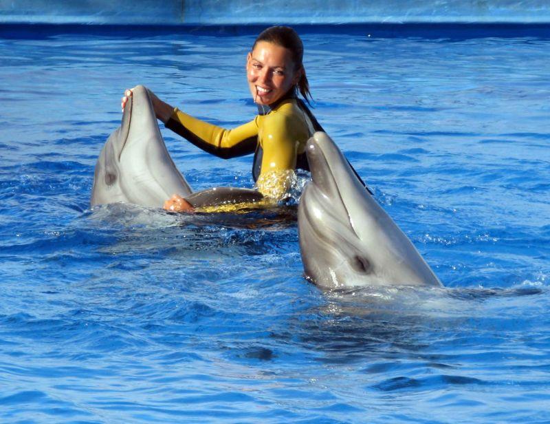 Севастопольский дельфинарий (Артбухта)